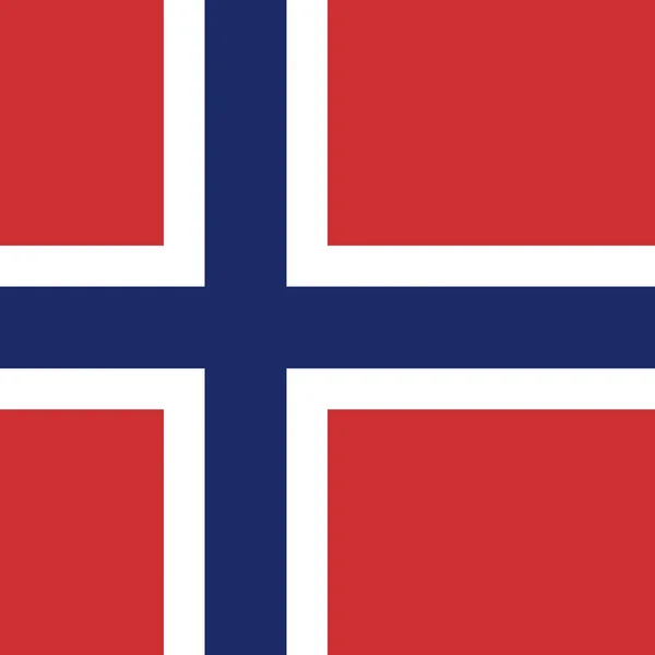 Officiële Nationale Vlag Van Spitsbergen Jan Mayen — Stockfoto