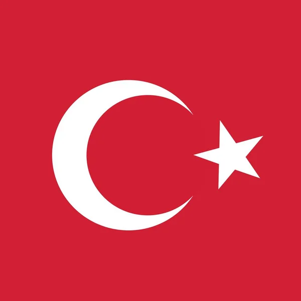Officiella Nationella Flagga Turkiet — Stockfoto