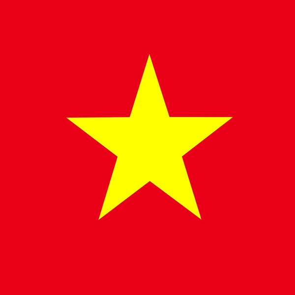 Official National Flag Vietnam — Stock Photo, Image