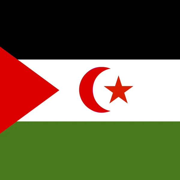 Officiële Nationale Vlag Van Westelijke Sahara — Stockfoto