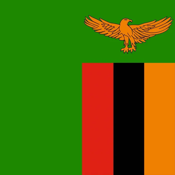 Bandiera Nazionale Ufficiale Dello Zambia — Foto Stock