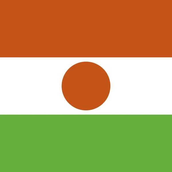 Государственный Флаг Нигера — стоковое фото