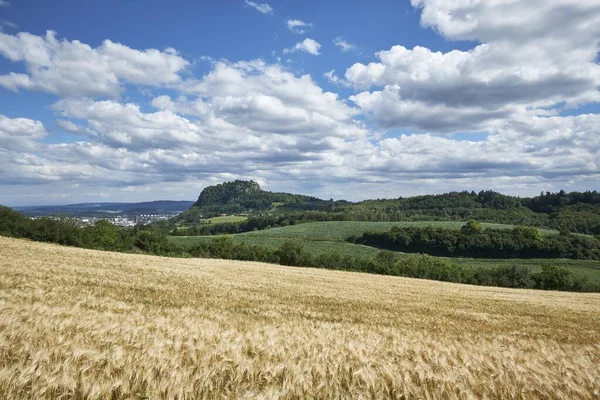 Vista Sobre Campo Barleys Hordeum Vulgare Horizonte Vulcão Hegau Hohentwiel — Fotografia de Stock