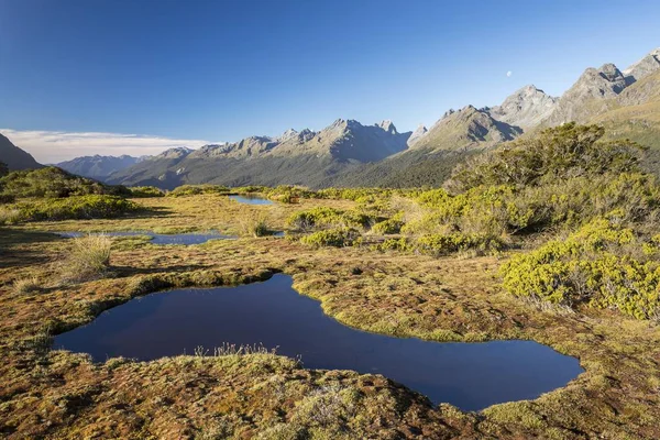 Stagno Vertice Chiave Parco Nazionale Fiordland Montuosa Southland Nuova Zelanda — Foto Stock