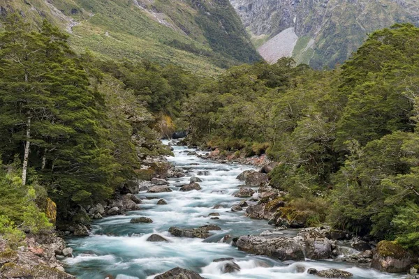 Ποταμός Hollyford Διασχίζει Εθνικό Πάρκο Fiordland Την Εθνική Οδό Milford — Φωτογραφία Αρχείου