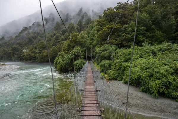 Hollyford Track Suspension Bridge Rainforest Fiordland National Park Hollyford River — Fotografia de Stock