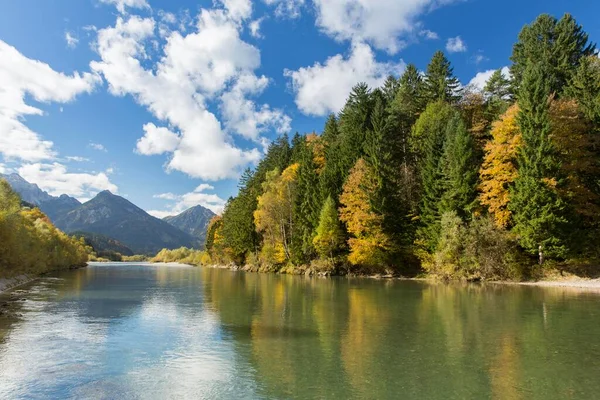 River Lech Autumnal Forest Ziegelwiesen Fssen Bavaria Germany Europe — Stock Photo, Image