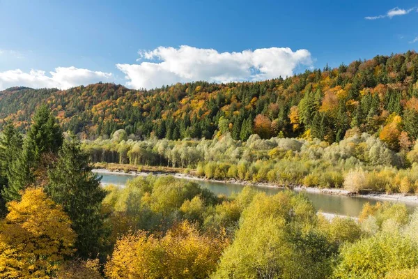 Floden Lech Med Höstskog Nära Ziegelwiesen Fssen Bayern Tyskland Europa — Stockfoto