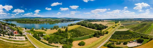 莱茵河畔海德海姆的空中景观 位于德国莱茵兰 帕拉蒂纳特海德海姆市Eltville和Erbach的后面 — 图库照片