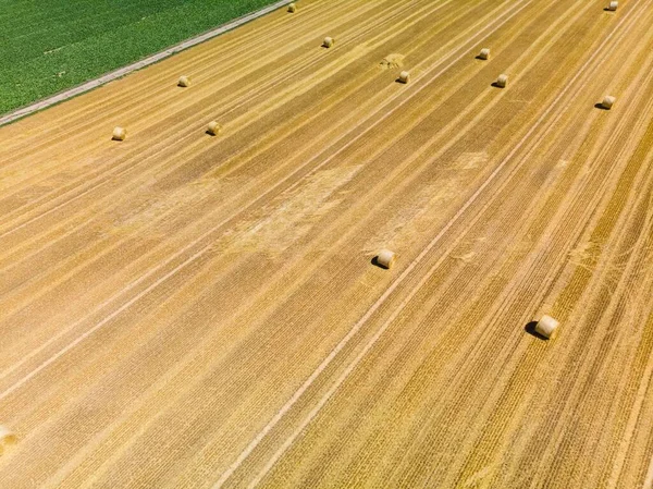 空中景观 切割带稻草的玉米地 沃尔斯塔特地区 韦特劳 — 图库照片