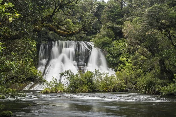Aniwaniwa Falls Rainforest Waterfall Urewera National Park North Island New — Stock Photo, Image