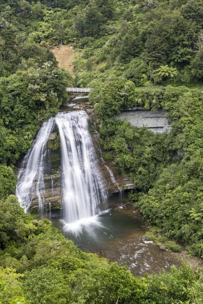 Mokau Falls Deštný Prales Národní Park Urewera Severní Ostrov Nový — Stock fotografie