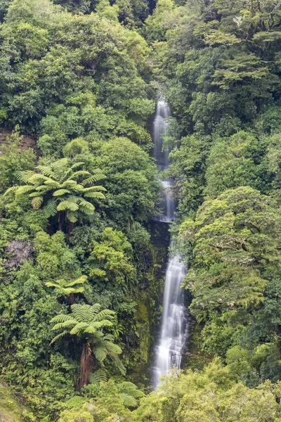 Malý Vodopád Deštném Pralese Národní Park Urewera Severní Ostrov Nový — Stock fotografie