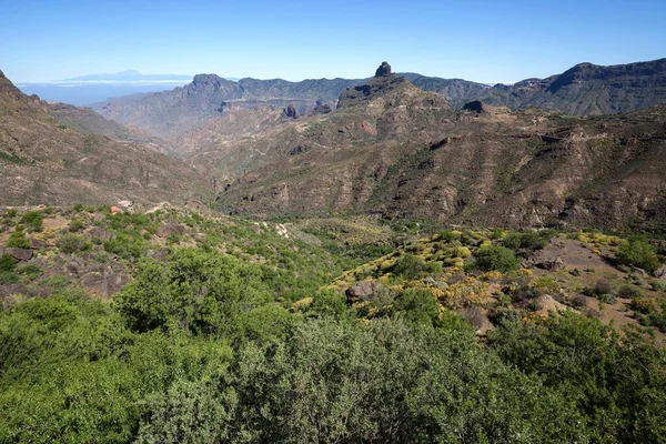 欧洲加那利群岛大加那利群岛特内里费岛 泰德山 阿尔塔维斯塔山和崇拜岩石Roque Bentayga后面Tejeda的巴兰科德尔奇里略Gc60号公路上的风景 — 图库照片