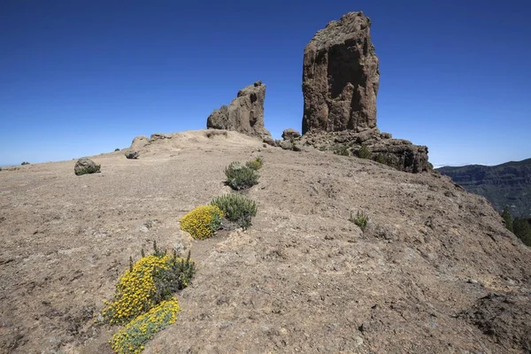 Roque Nublo Cult Rock Ancient Canaries Gran Canaria Canary Islands — Stock Photo, Image