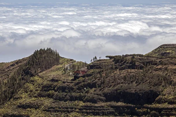 View Roque Nublo Degollada Becerra Sea Clouds North Gran Canaria — Stock Photo, Image