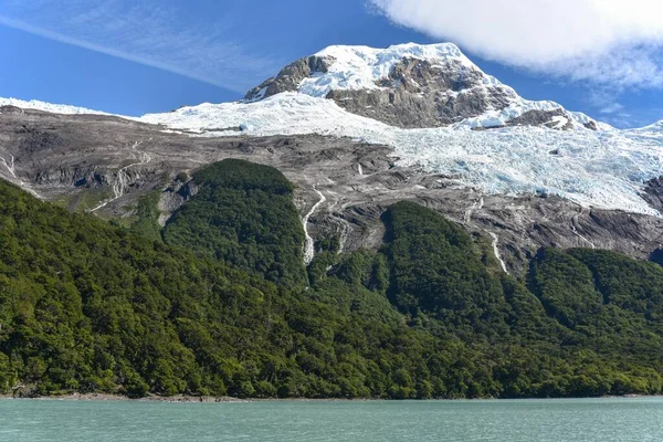 Geleira Com Floresta Parque Nacional Los Glaciares National Park Argentina — Fotografia de Stock