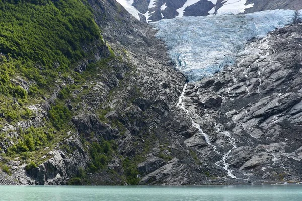Melting Glacier Lake Forest Glaciar Huemulam Lago Del Desierto Chalten — Stock Photo, Image