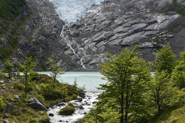 Geleira Derretida Com Lago Floresta Glaciar Huemulam Lago Del Desierto — Fotografia de Stock