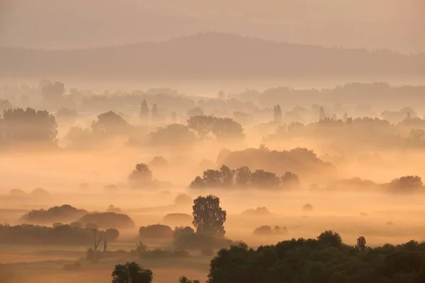 Poranna Mgła Wschodzie Słońca Nad Radolfzell Aachried Koło Radolfzell Powiat — Zdjęcie stockowe