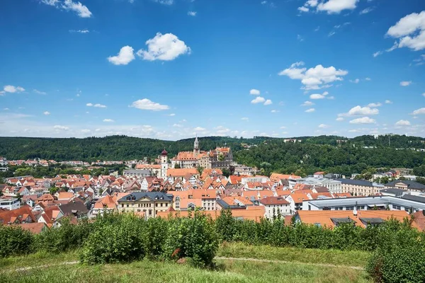 Widok Miasto Sigmaringen Powiat Sigmaringen Badenia Wirtembergia Niemcy Europa — Zdjęcie stockowe
