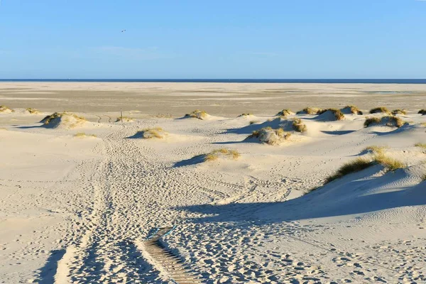 Dune Crossing Footprints Kniepsand Horizon Amrum North Frisian Island North — Stock Photo, Image