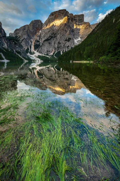 Jezioro Górskie Odbiciem Wody Tyłu Szczyt Seekogel Jezioro Prags Dolomity — Zdjęcie stockowe