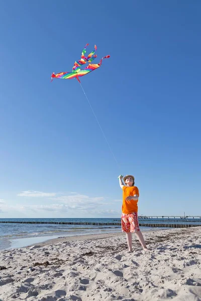 Мальчик Играет Воздушным Змеем Пляже Wustrow Fischland Мекленбург Западная Померания — стоковое фото