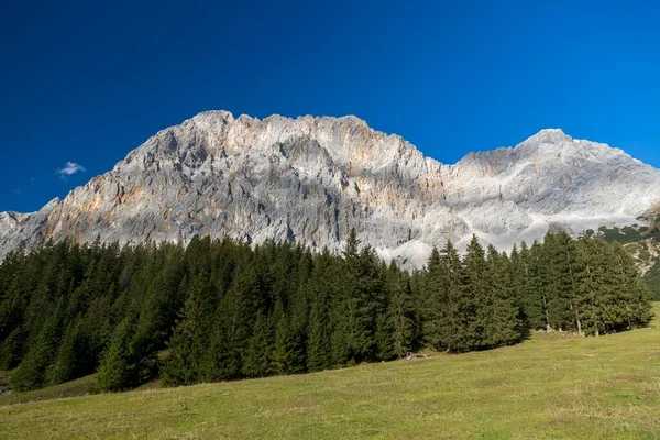 Blick Auf Wetterwandeck Zugspitzmassiv Ehrwalder Alm Ehrwald Tirol Österreich Europa — Stockfoto