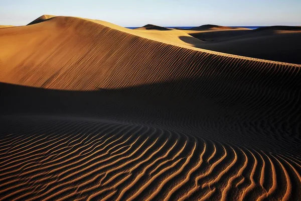 Dune Landskap Sanddyner Maspalomas Dunas Maspalomas Strukturer Sanden Kvällsljus Naturreservat — Stockfoto