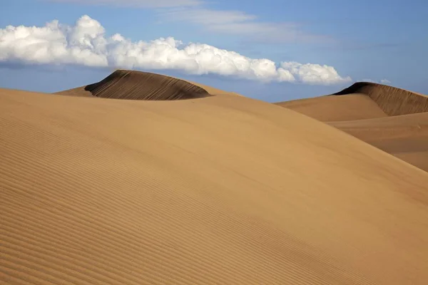 Dune Landskap Sanddyner Maspalomas Dunas Maspalomas Molnbildning Naturreservat Gran Canaria — Stockfoto
