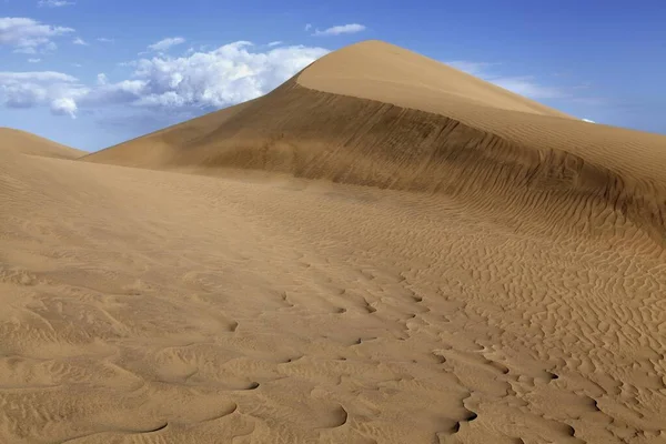 Dune Landskap Sanddyner Maspalomas Dunas Maspalomas Strukturer Sanden Naturreservat Gran — Stockfoto