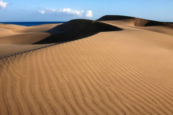 沙丘景观 马斯帕洛马斯沙丘 马斯帕洛马斯沙丘 沙滩结构 自然保护区 大加那利群岛 西班牙 — 图库照片