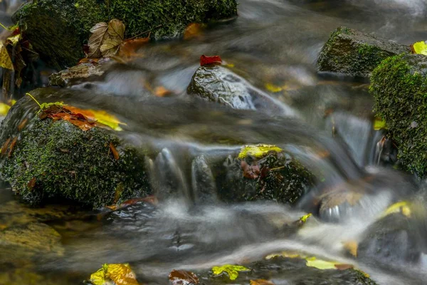 图林根 图林根森林 一条小溪里的秋叶 — 图库照片