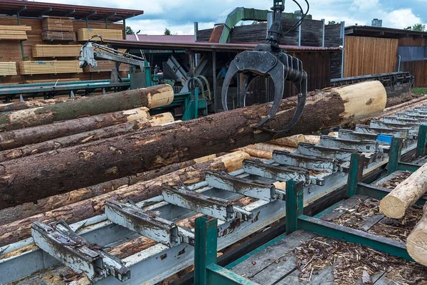 Jeřáb Zvedá Kulaté Dřevo Průzkumném Dopravníku Pilařský Mlýn Bavorsko Německo — Stock fotografie