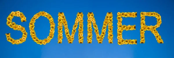 Sommer Written Letters Made Sunflowers — Stock Photo, Image