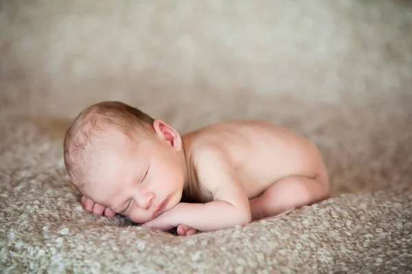 Newborn Baby Weeks Sleeping — Stock Photo, Image