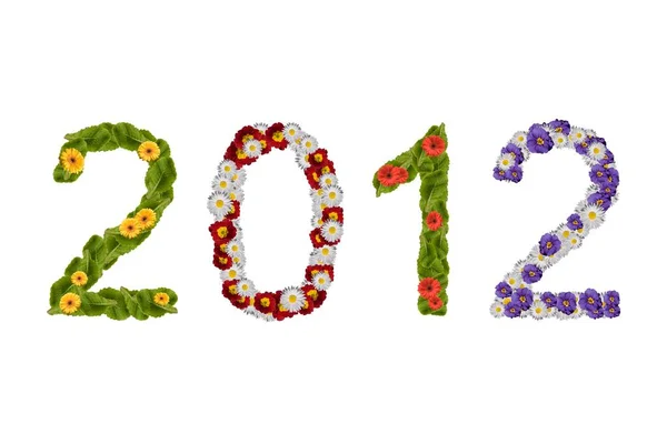 Flowers Arranged Show Year 2012 — Stock Photo, Image