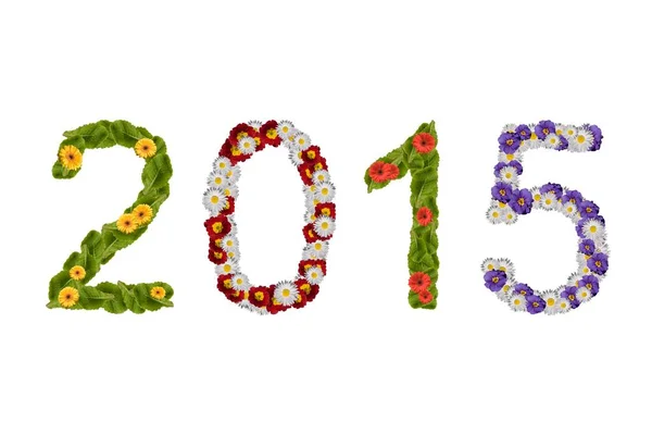 Flowers Arranged Show Year 2015 — Stock Photo, Image