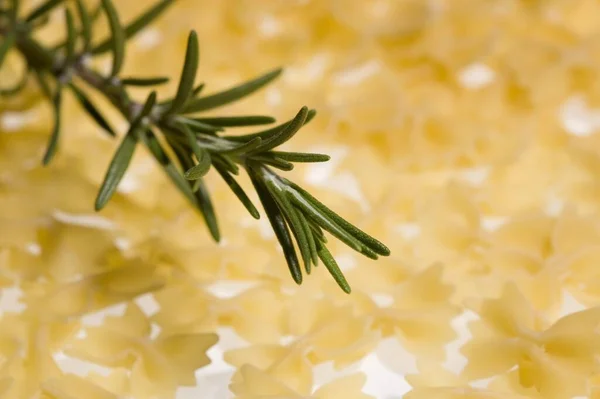 Noodles Rosemary Close View — Stock Photo, Image