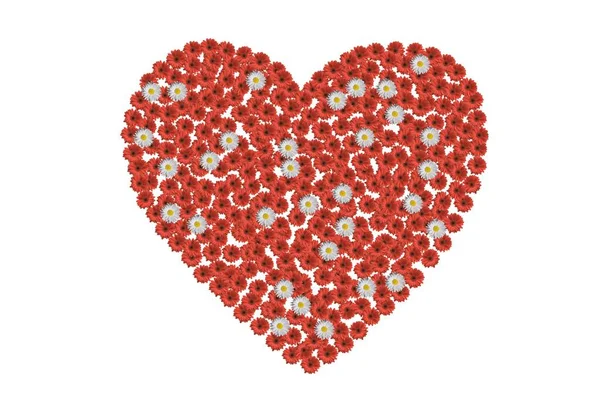 Rött Hjärta Gjort Blommor — Stockfoto