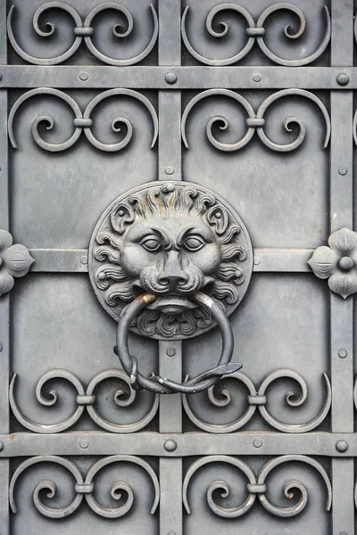 德国慕尼黑 上巴伐利亚 德国巴伐利亚和欧洲国家博物馆的铁门 门上挂着狮头作为门锁 — 图库照片