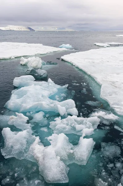Buz Kütleleri Bjrnsundet Doğa Koruma Alanı Svalbard Takımadaları Norveç Avrupa — Stok fotoğraf