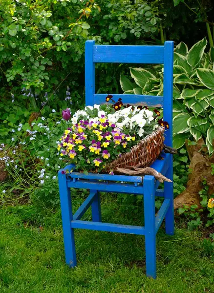 Chaise Bois Bleu Avec Panier Fleurs Dans Jardin — Photo