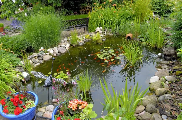 Jardim Ornamental Lago Jardim Com Peixinho Dourado — Fotografia de Stock