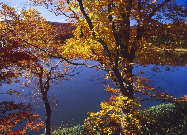 Ambiente Outono Lago Floresta Outono Montanha Hakoda Akita Japão Ásia — Fotografia de Stock