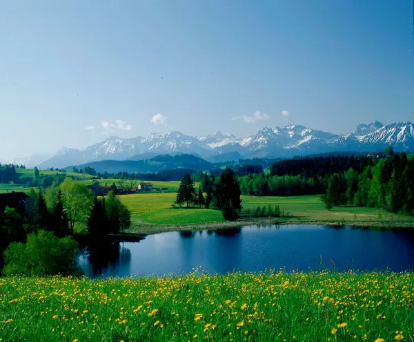 Troll Pond Com Montanhas East Allgu Primavera Baviera Alemanha — Fotografia de Stock