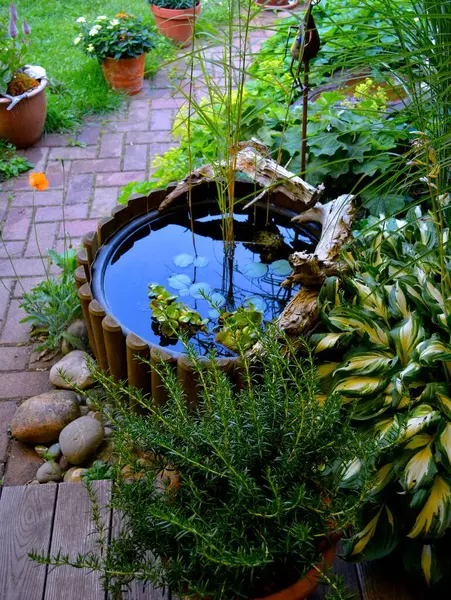 Small Mini Pond Garden — Stock Photo, Image