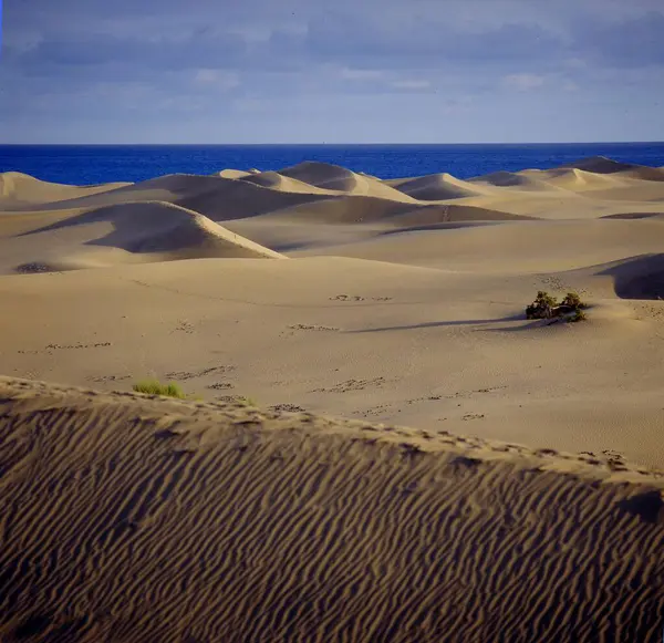 Дюны Маспаломасе Южном Побережье Испания Valencia — стоковое фото