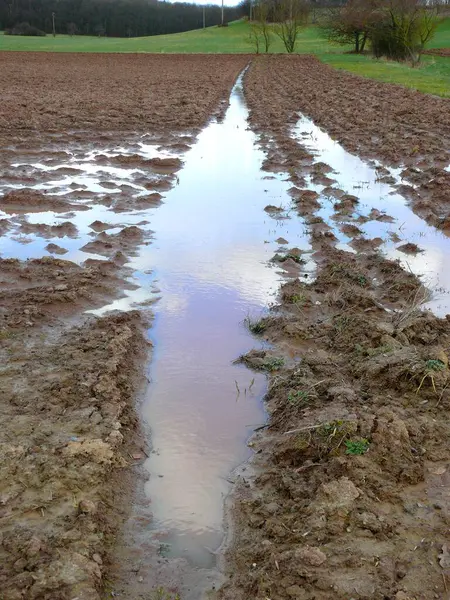 Пшеничные Борозды Поля Наполненные Дождевой Водой — стоковое фото